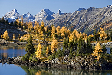 Rock Isle Lake in autumn, Sunshine Meadows, Banff National Park, Alberta, Canada