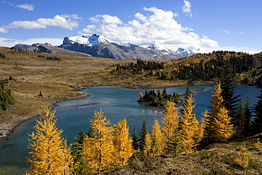 Rock Isle Lake in autumn, Sunshine Meadows, Banff National Park, Alberta, Canada