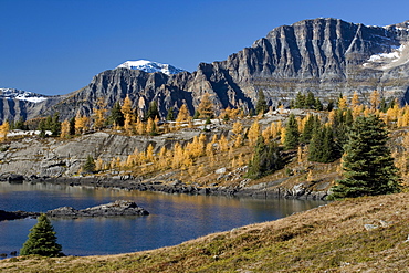 Rock Isle Lake in autumn, Sunshine Meadows, Banff National Park, Alberta, Canada