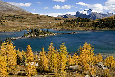 Rock Isle Lake in autumn, Sunshine Meadows, Banff National Park, Alberta, Canada