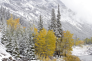 Medicine Lake in autumn snow, Jasper National Park, Alberta, Canada