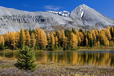 Howard Douglas Lake in autumn, Alberta, Canada