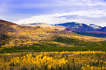 Minor Range and fall colours along Klondike Highway, Yukon