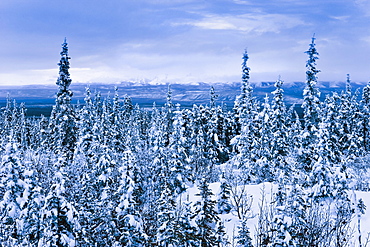 Snow-covered and Richardson Mountains at dawn along Dempster Highway, Yukon