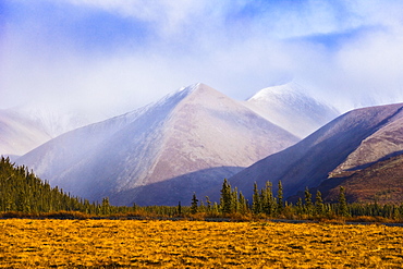 Fall colours and Richardson Mountains at sunset along Dempster Highway, Yukon