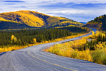 Alaska Highway near Beaver Creek and fall colours, Yukon