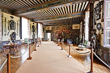 Arms Room in the Chuteau de Cheverny, Cheverny, France