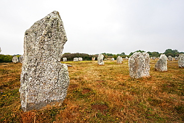 Menhirs in the Le Munec alignments, Carnac, Morbihan, France