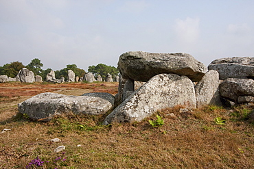 Dolmen by the Kermario alignments, Carnac, Morbihan, France