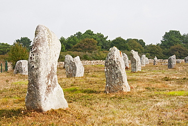 Menhirs in the Le Munec alignments, Carnac, Morbihan, France