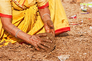 Woman making cow dung patties, Bodhgaya, Bihar, India