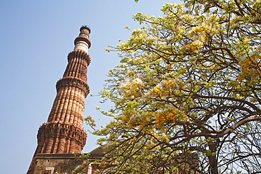 Qutab Minar, Delhi, India