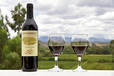 Don Humberto Carmenere wine bottle and glasses, Calamuchita, Tarija, Bolivia