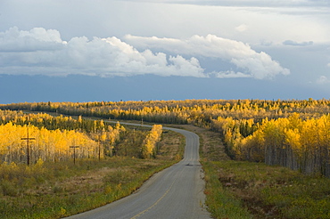 Fall colors on the Alaska Highway, near Whitehorse, Yukon