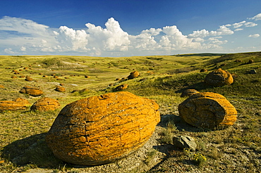 Sandstone concretions in Red Rock Coulee Natural Area, Alberta