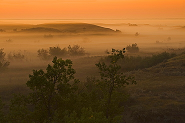 The Great Sandhills, near Sceptre, Saskatchewan