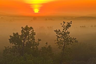 Sunrise over the Great Sandhills, near Sceptre, Saskatchewan