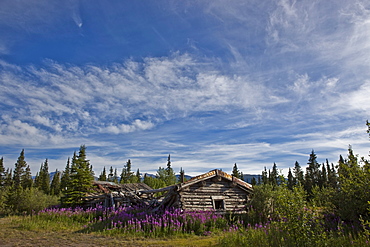 The old homestead at Silver City along the shores of Kluane Lake, Yukon, Canada