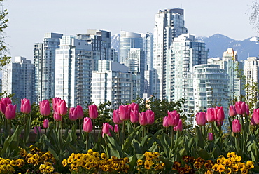 Flowers and view of downtown from Choklit Park, Vancouver, British Columbia