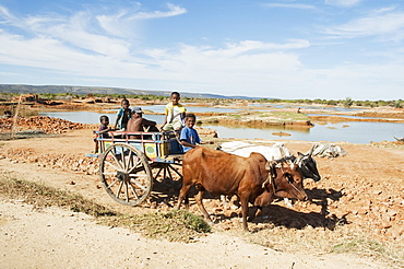 People on a bullock cart near Antsokay, Toliara Province, Madagascar