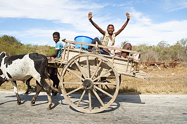 People on a bullock cart near Antsokay, Toliara Province, Madagascar