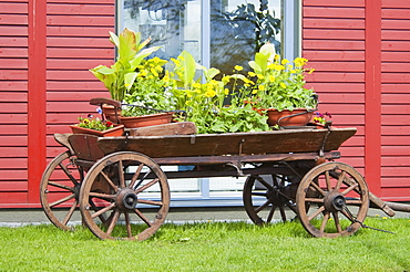 Old cart with flowers, Trakai, Lithuania