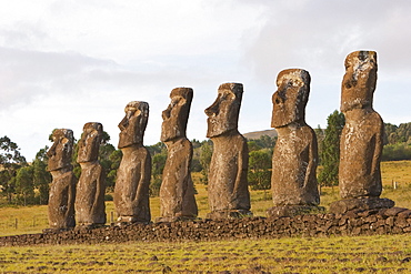 The seven moais (restored in 1960 by archaeologist William Mulloy) of Ahu Akivi are the only moai to face the ocean, Rapa Nui (Easter Island), Chile