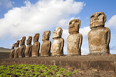 Fifteen moais from different periods, restored by archaeologist Claudio Cristino, at Ahu Tongariki, Rapa Nui (Easter Island), Chile