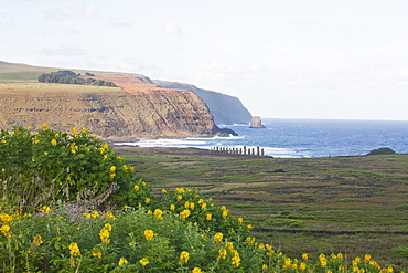 Fifteen moais from different periods, restored by archaeologist Claudio Cristino, at Ahu Tongariki, as seen from Rano Raraku, Rapa Nui (Easter Island), Chile