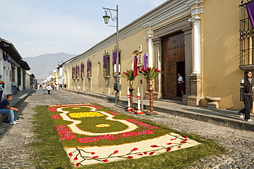 Carpet made of pine needles, flowers, sand & sawdust along the Good Friday processional route. Carpet-making is thought of as a sacrificial act, as the elaborate detail and time that go into the carpet making is a way for people to give something of themselves in memory of the crucifixion of Jesus. These carpets last on average 2 hours before they are destroyed by the many feet that march over them during a procession in Antigua Guatemala., Sacatepuquez, Guatemala