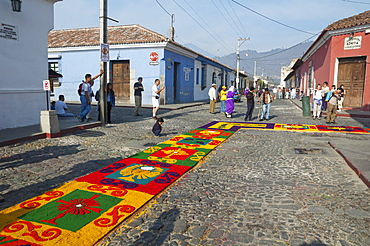 Carpet made of pine needles, flowers, sand & sawdust along the Good Friday processional route. Carpet-making is thought of as a sacrificial act, as the elaborate detail and time that go into the carpet making is a way for people to give something of themselves in memory of the crucifixion of Jesus. These carpets last on average 2 hours before they are destroyed by the many feet that march over them during a procession in Antigua Guatemala., Sacatepuquez, Guatemala