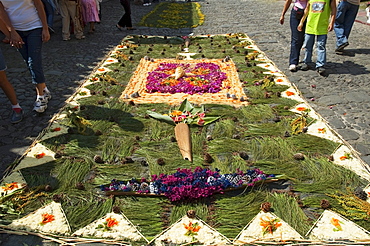 Carpet made of pine needles & flowers along the Good Friday processional route. Carpet-making is thought of as a sacrificial act, as the elaborate detail and time that go into the carpet making is a way for people to give something of themselves in memory of the crucifixion of Jesus. These carpets last on average 2 hours before they are destroyed by the many feet that march over them during a procession in Antigua Guatemala., Sacatepuquez, Guatemala