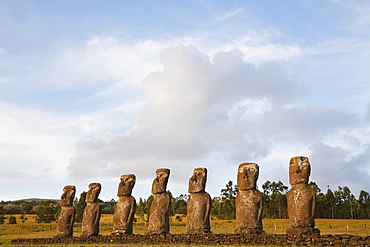 The seven moais (restored in 1960 by archaeologist William Mulloy) of Ahu Akivi are the only moai to face the ocean, Rapa Nui (Easter Island), Chile