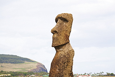 Moai at Hanga Kio'e, Rapa Nui (Easter Island), Chile