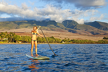 Hawaii, Maui, Woman stand up paddling in ocean just off Canoe Beach, Warm sunlight.