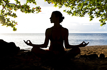 Hawaii, Kauai, Woman doing yoga on beach under tree.