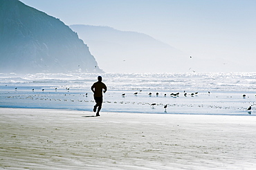 California, Morro Bay, Silhouette of man jogging on beach.