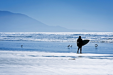 California, Morro Bay, Silhouette of surfer on beach.