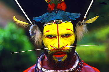 Papua New Guinea, Head shot of young man, face with war paint and wild hair