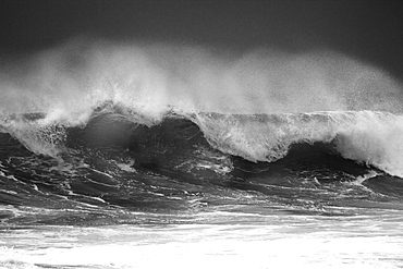 Hawaii, Oahu, Beautiful wave breaking.