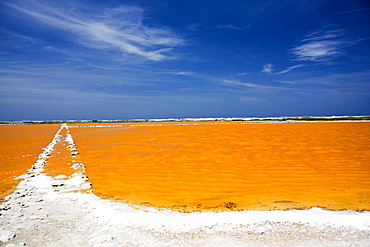 Caribbean, Bonaire, Netherlands Antilles, Salt Pan near Lac Bay.