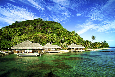 French Polynesia, Huahine, Te Tiare Resort bungalows over ocean, tall palm trees along beach, blue sky