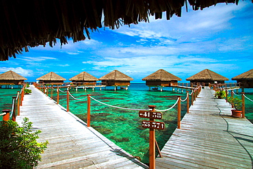 French Polynesia, Huahine, Te Tiare Resort bungalows over ocean, tall palm trees along beach, blue sky