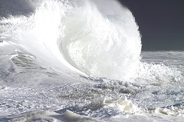 Hawaii, Oahu, Beautiful wave breaking.