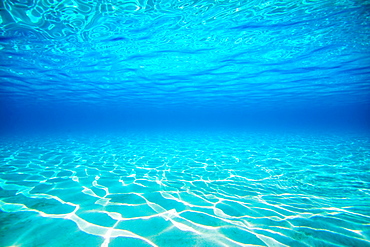 French Polynesia, Underwater sandy bottom and surface reflection.