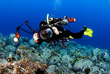 Hawaii, Big Island, Kona Coast, Photographer diver swims along ocean floor.