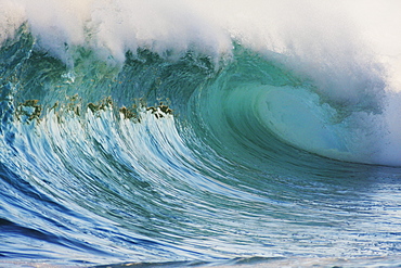 Hawaii, Oahu, North Shore, Beautiful wave breaking.