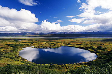 Alaska, Denali National Park, Tundra pond along McKinley River, Alaska Range in distance.