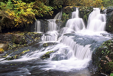 Oregon, Coast Range Mountains, Alsea Falls cascading through forest.