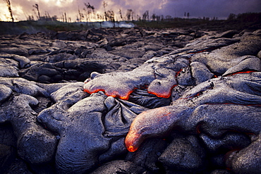 Hawaii, Big Island, Hawaii Volcanoes National Park, Kilauea area, Expanse of pahoehoe lava.